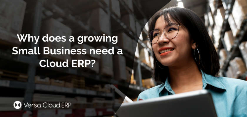 Why does a growing Small Business need a Cloud ERP?