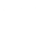 Rising Star 2017 Award